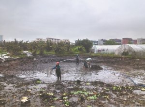 孟津河道鱼塘清淤